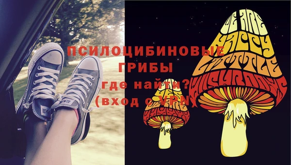 хмурый Балабаново