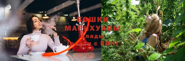 хмурый Балабаново